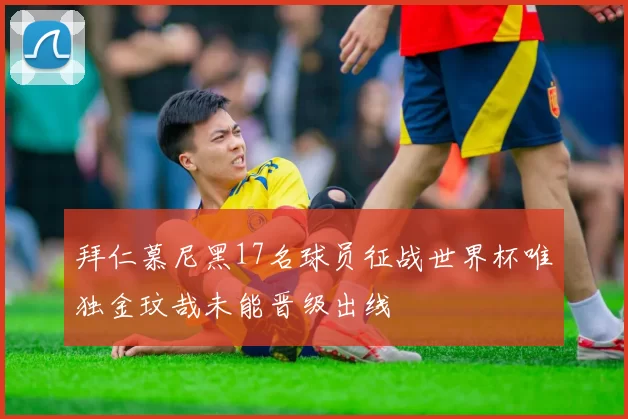 拜仁慕尼黑17名球员征战世界杯唯独金玟哉未能晋级出线