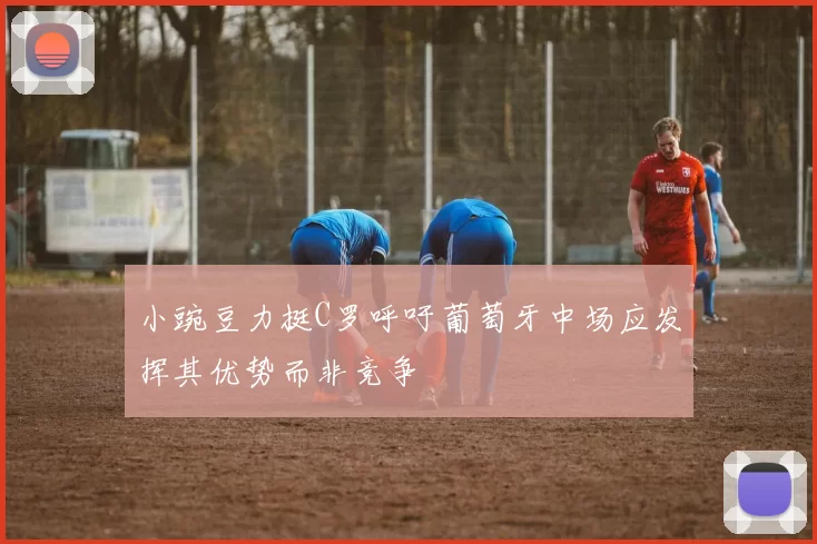 小豌豆力挺C罗呼吁葡萄牙中场应发挥其优势而非竞争