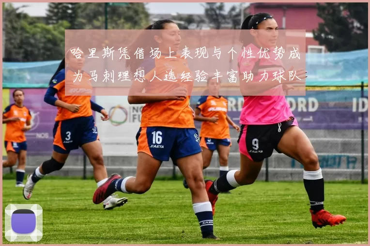 哈里斯凭借场上表现与个性优势成为马刺理想人选经验丰富助力球队发展
