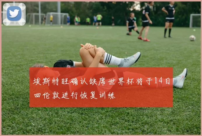 埃斯特旺确认缺席世界杯将于14日回伦敦进行恢复训练